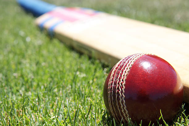 The impact of cricket on mental health support systems: Providing resources for players and fans