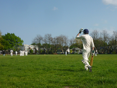 Unleashing Your Cricketing Persona: The Power of Your Online Cricket ID